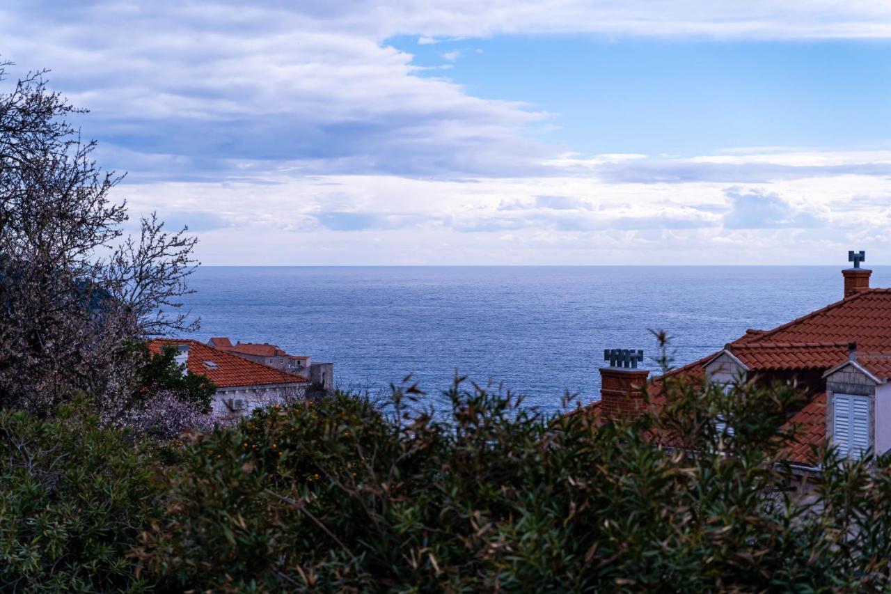 Apartment Aurelya Dubrovnik Extérieur photo